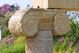 Parco-Archeologico-Metaponto