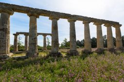 Tavole Palatine, Metaponto